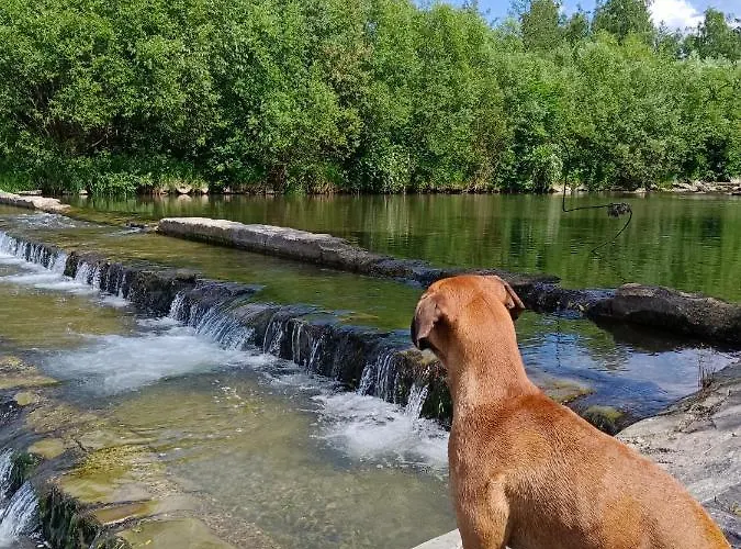 Wrzosowisko Apartment